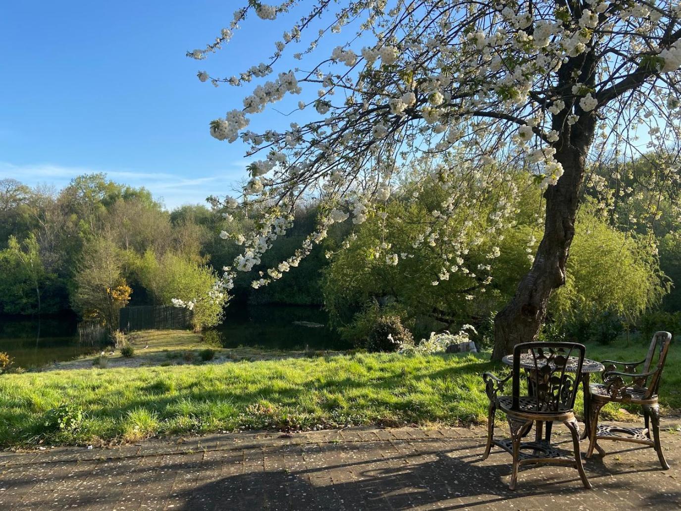 גרייבסנד Inn On The Lake מראה חיצוני תמונה